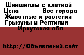 Шиншиллы с клеткой › Цена ­ 8 000 - Все города Животные и растения » Грызуны и Рептилии   . Иркутская обл.